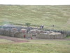 Maasai boma