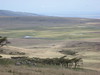 TZ Field School - Ngorongoro Crater Highlands