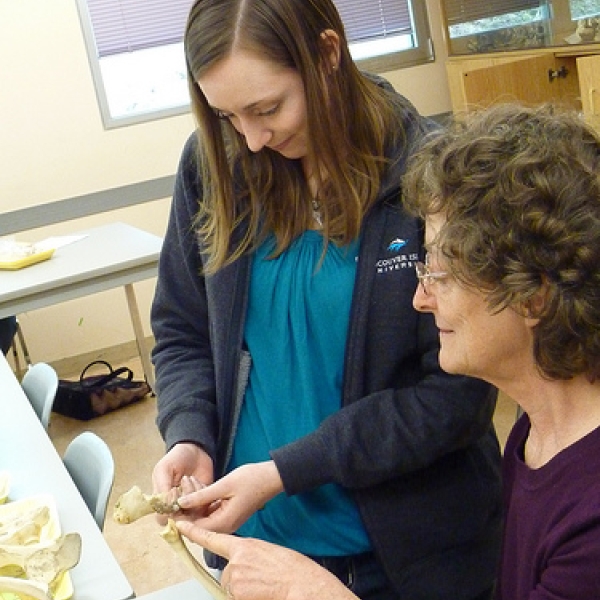 Is this what I think it is? Dr Gay Frederick supervised this directed studies on faunal analysis. Here she is guiding Nicole. 