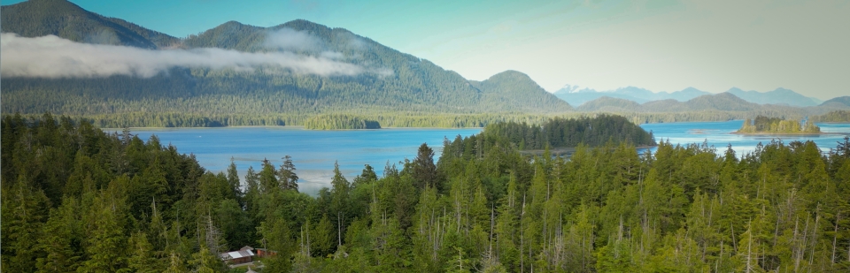Photo showing the overview scenery of the IPCA location within a forest. The surrounding ocean and mountains are seen in the background.